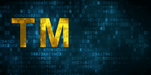 IT Hardware: Why Name Brands Make a Difference