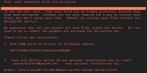 Managed IT Works: Especially Against Ransomware Like Petya