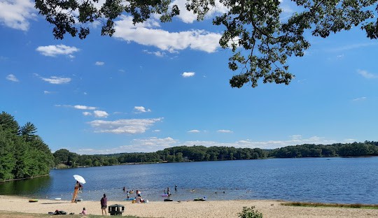 A serene lake with a sandy shore where people are enjoying a sunny day outdoors, not far from the managed IT service in Chelmsford.