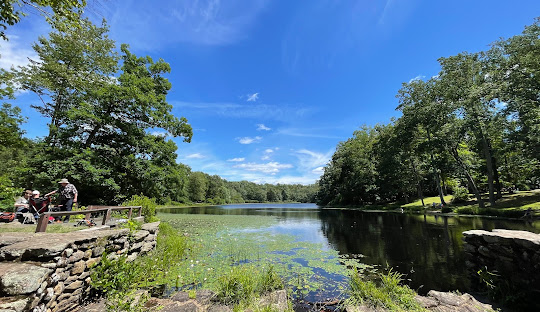 Two people sit on a stone wall next to a calm lake surrounded by lush trees under a clear blue sky, possibly discussing the latest in managed IT services Colchester CT has to offer.